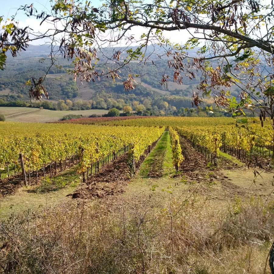 Agriturismo Podere del Vescovo Montenero d'Orcia Exterior foto