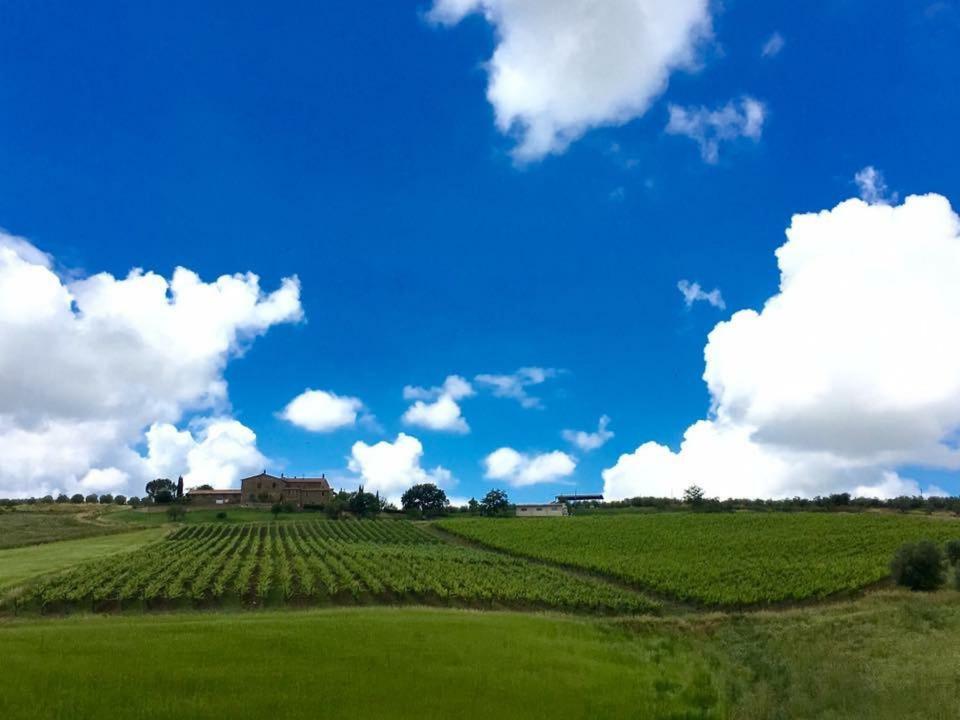 Agriturismo Podere del Vescovo Montenero d'Orcia Exterior foto
